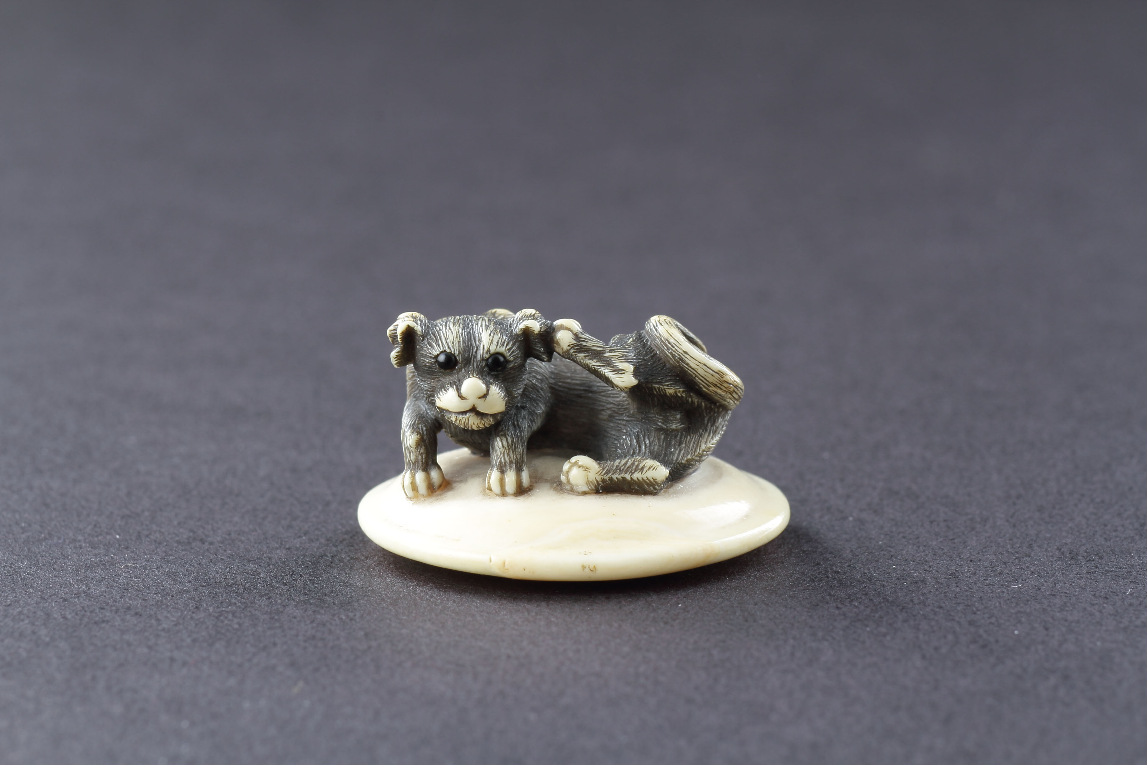Japanese Ivory Netsuke of a Puppy Dog Scratching His Ear